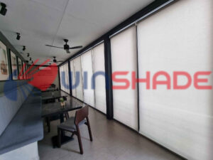 Window Blinds Quezon City_040224